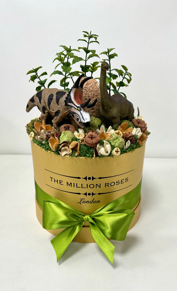 Dino box - The Million Roses Slovakia