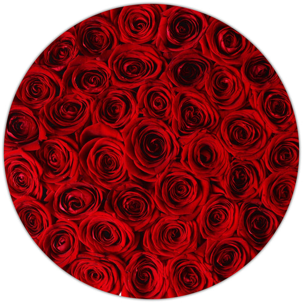 Medium - Red Eternity Roses - White Box - The Million Roses Slovakia
