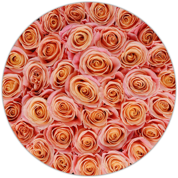The Million Large Luxury Box - Peach Roses- Black Box - The Million Roses Slovakia