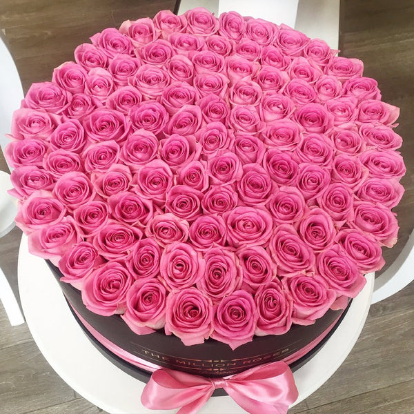 Pink 100 - The Million Roses Slovakia