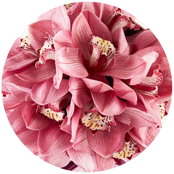 Small - Pink Orchids - Pink Box - The Million Roses Slovakia