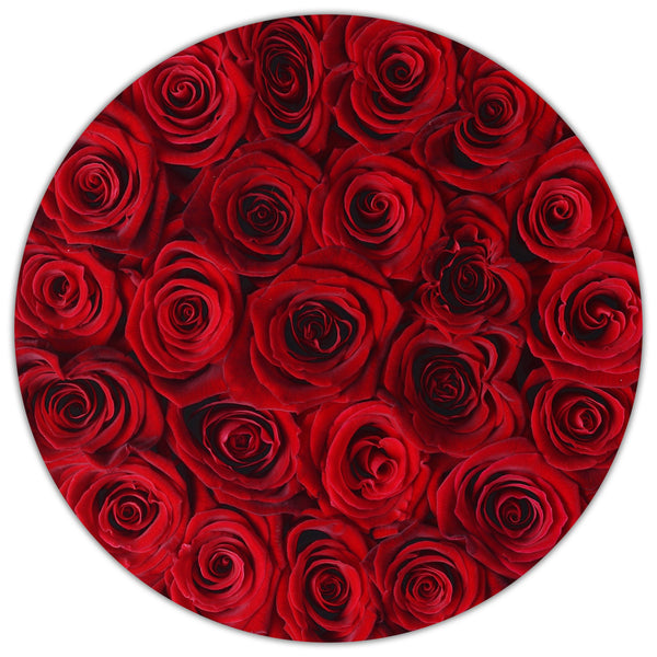 Small - Red  Roses - White Box - The Million Roses Slovakia