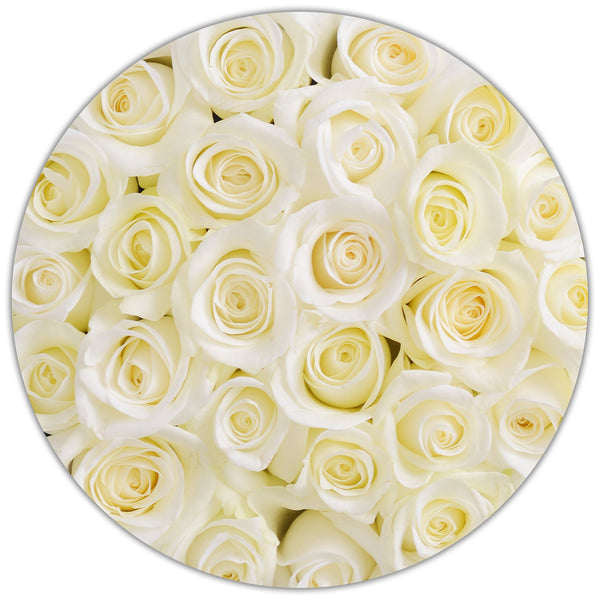 Small - White  Roses - Black Box - The Million Roses Slovakia