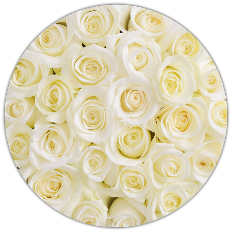 Small - White  Roses - Black Box - The Million Roses Slovakia