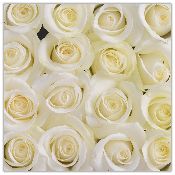 Cube - White Roses - White Box - The Million Roses Slovakia