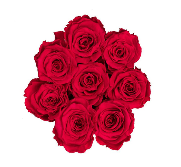 The Million Basic - Red Roses - Vanilla Box - The Million Roses Slovakia