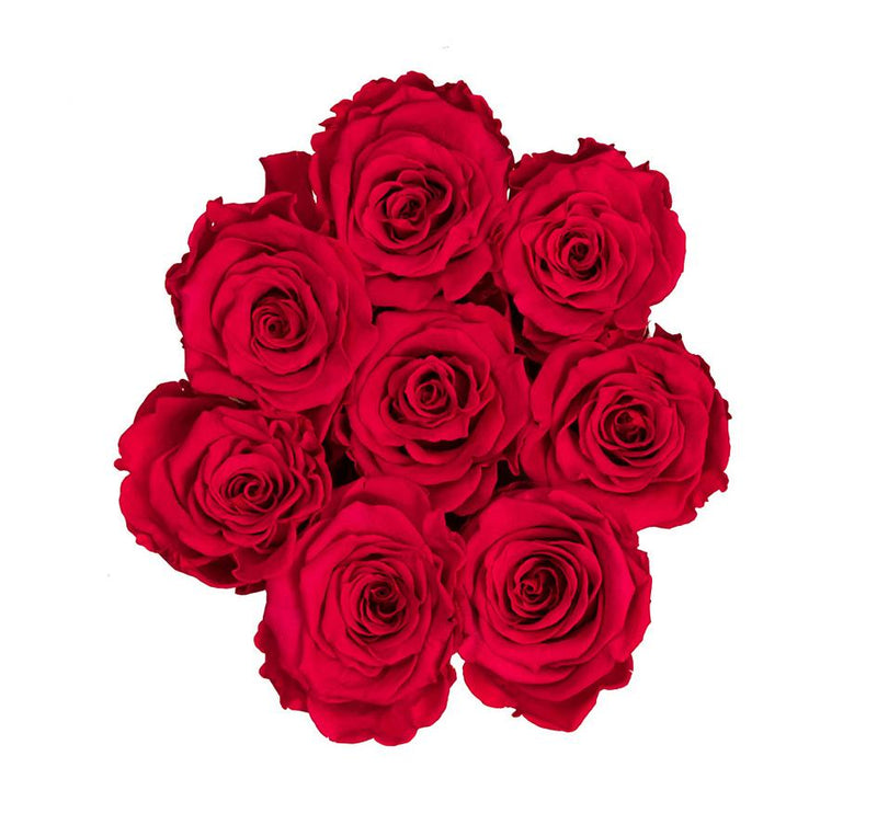 The Million Basic - Red Roses - Vanilla Box - The Million Roses Slovakia