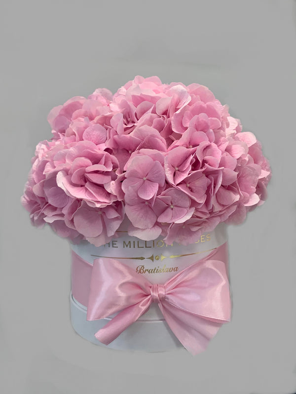 Small - Hydrangea - White Box - The Million Roses Slovakia