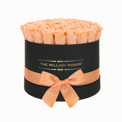 Medium - Peach Eternity Roses - Black Box - The Million Roses Slovakia