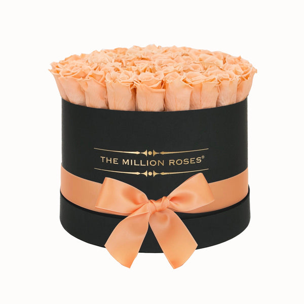 Medium - Peach Eternity Roses - Black Box - The Million Roses Slovakia