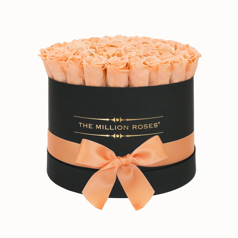 Medium - Peach Eternity Roses - Black Box - The Million Roses Slovakia