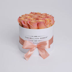 Small - Peach Roses - White Box - The Million Roses Slovakia