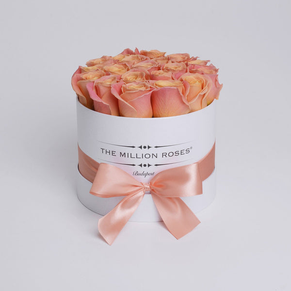Small - Peach Roses - White Box - The Million Roses Slovakia