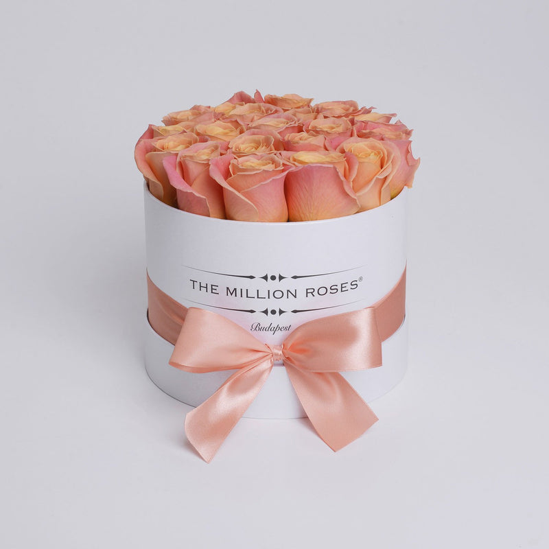 Small - Peach Roses - White Box - The Million Roses Slovakia