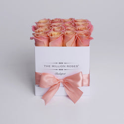 Cube - Peach Roses - White Box - The Million Roses Slovakia