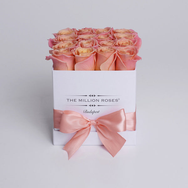 Cube - Peach Roses - White Box - The Million Roses Slovakia