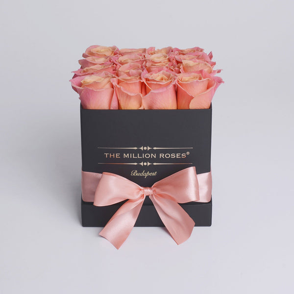 Cube - Peach Roses - Black Box - The Million Roses Slovakia