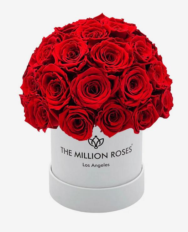 Basic Superdome Eternity Rose Box | Červené ruže - The Million Roses Slovakia