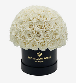 Small Superdome Eternity Rose Box | Biele ruže - The Million Roses Slovakia