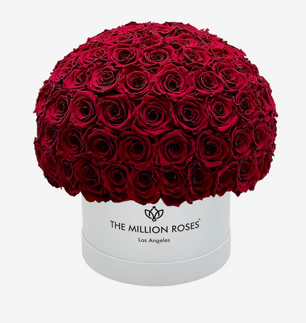 Medium Superdome Eternity Rose Box | Červené ruže - The Million Roses Slovakia