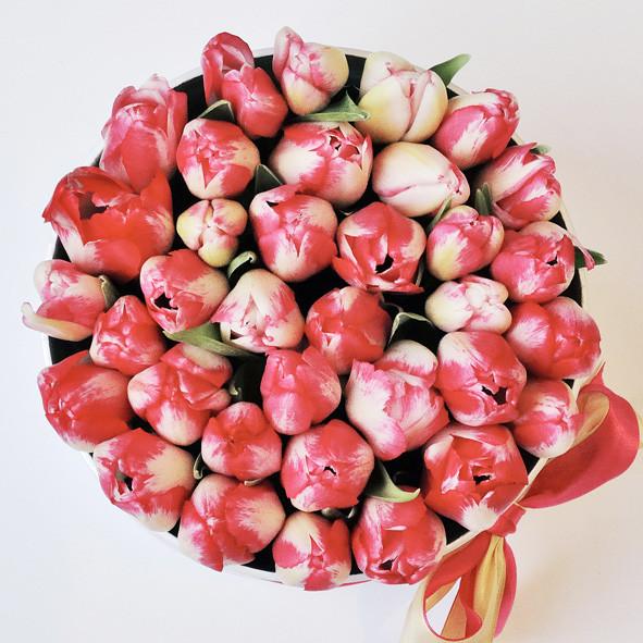 Small - Red Tulips - White Box - The Million Roses Slovakia