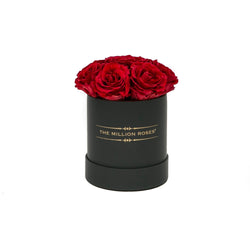 The Million Basic - Red Eternity Roses - Black Box - The Million Roses Slovakia