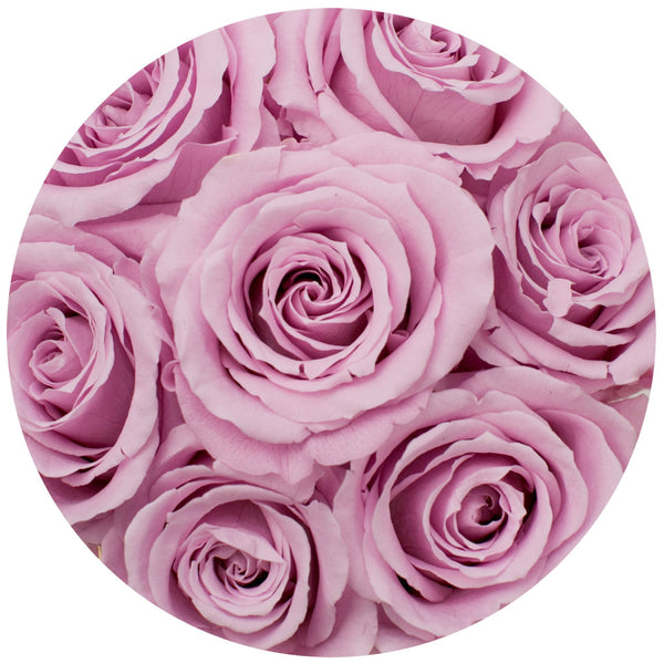 The Million Basic - Soft Pink Eternity Roses - White Box - The Million Roses Slovakia
