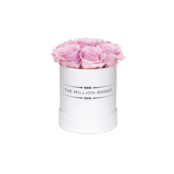 The Million Basic - Soft Pink Eternity Roses - White Box - The Million Roses Slovakia