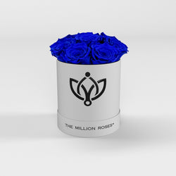 Biely basic box - Modré trvácne ruže  ( eternity ) - The Million Roses Slovakia