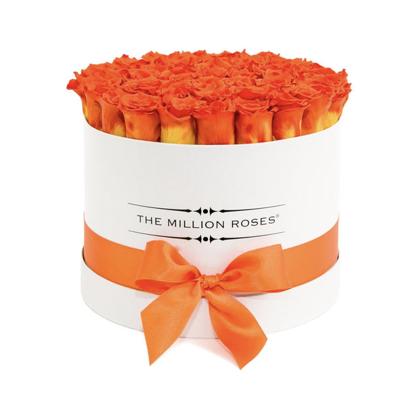 Medium - Hermès Orange Eternity Roses - White Box - The Million Roses Slovakia