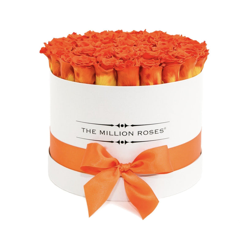 Medium - Hermès Orange Eternity Roses - White Box - The Million Roses Slovakia