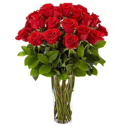 Kytica červených živých ruží - The Million Roses Slovakia