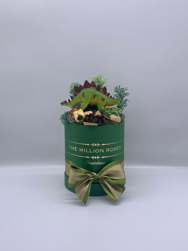 Dino box - The Million Roses Slovakia