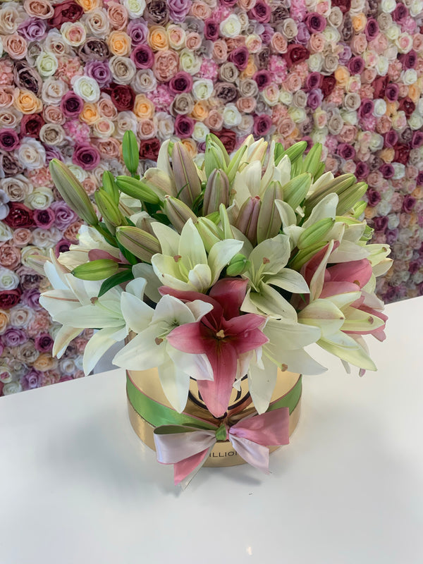 Medium - Lily Pink & White - Black Box - The Million Roses Slovakia