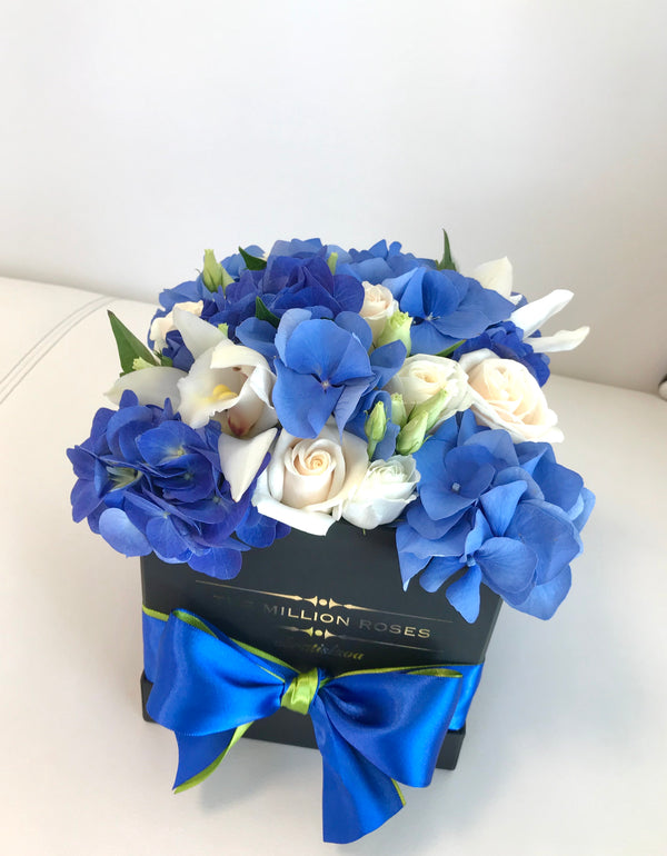 Cube - Blue Mix  - Black Box - The Million Roses Slovakia
