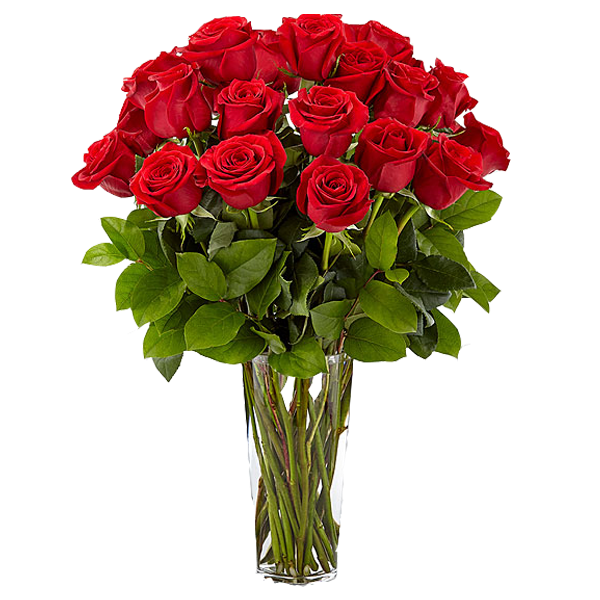 Kytica červených živých ruží - The Million Roses Slovakia