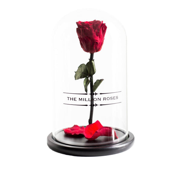 Ruža v skle, červený - The Million Roses Slovakia