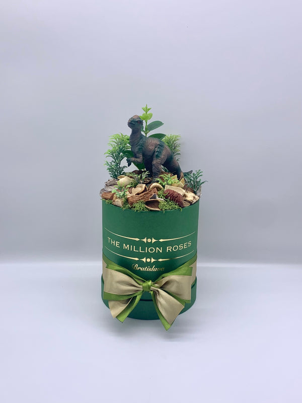 Dino box - The Million Roses Slovakia