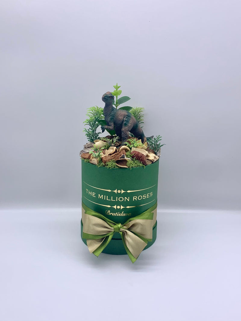 Dino box - The Million Roses Slovakia