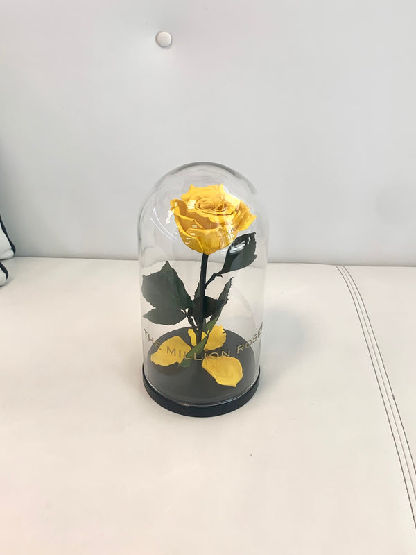 Ruža v skle, žltá - The Million Roses Slovakia