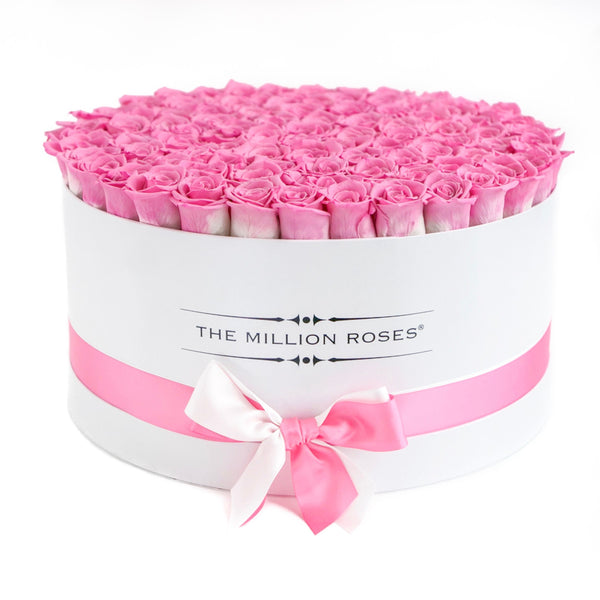 The Million Large Luxury Box - Candy Pink Eternity Roses - White Box - The Million Roses Slovakia