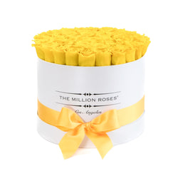 Medium - Yellow Roses - White Box - The Million Roses Slovakia