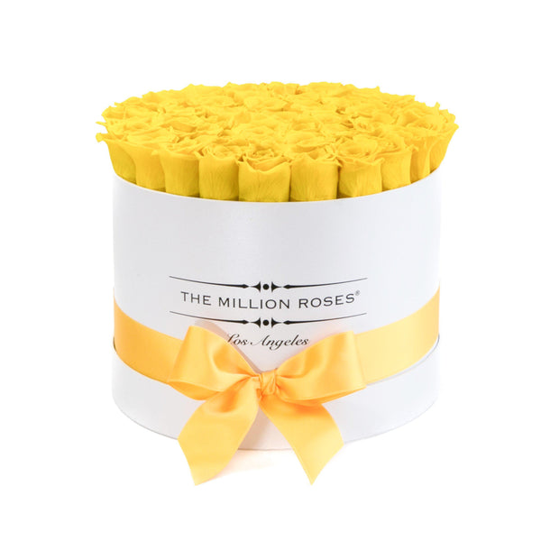 Medium - Yellow Roses - White Box - The Million Roses Slovakia