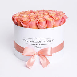 Medium - Peach Roses - White Box - The Million Roses Slovakia