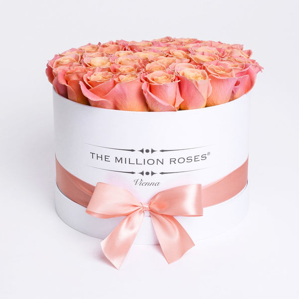 Medium - Peach Roses - White Box - The Million Roses Slovakia
