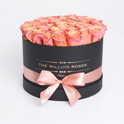 Medium - Peach Roses - Black Box - The Million Roses Slovakia