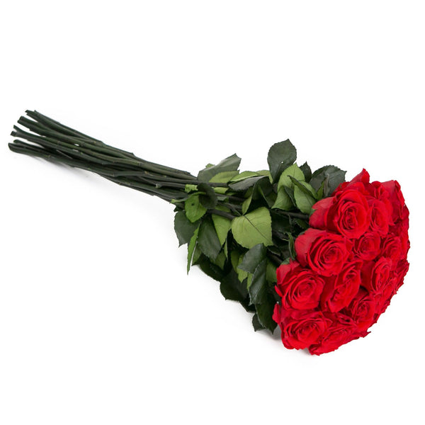 Kytica červených trvácnych ruží - The Million Roses Slovakia