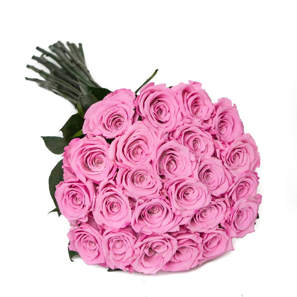 Kytica ružových trvácnych ruží - The Million Roses Slovakia