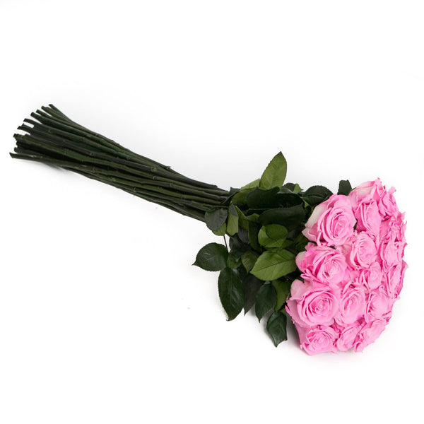 Kytica ružových trvácnych ruží - The Million Roses Slovakia