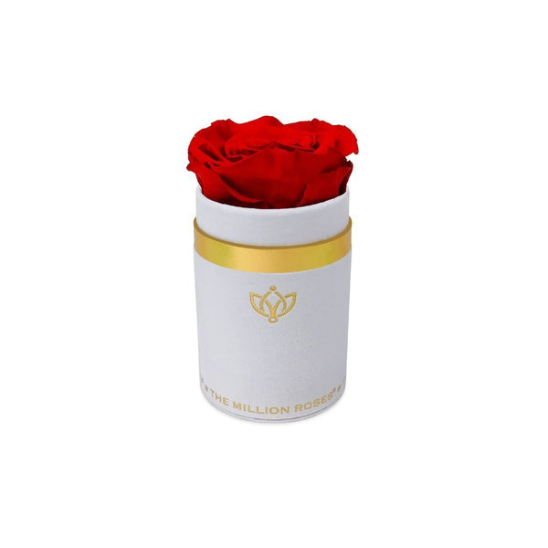 Single Rose Box - White Suede - The Million Roses Slovakia